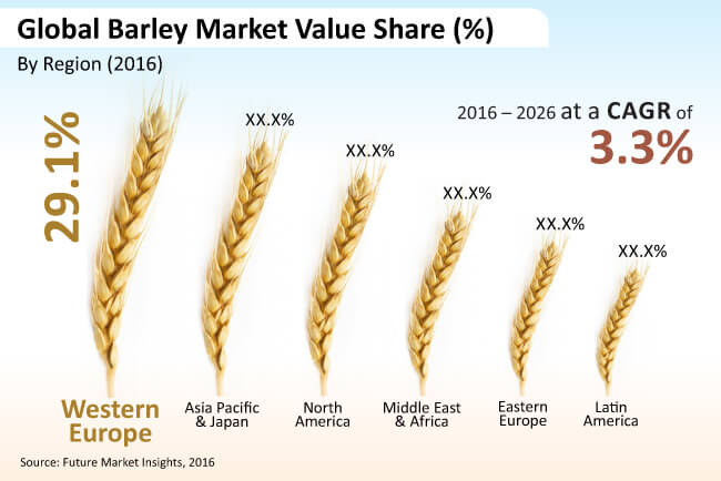 global barley market