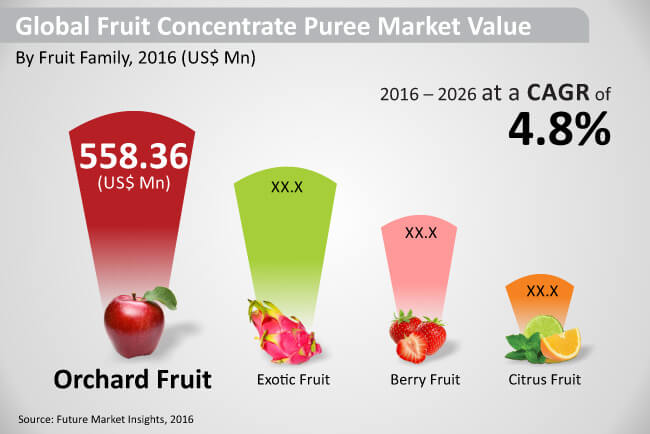global fruit concentrate puree market