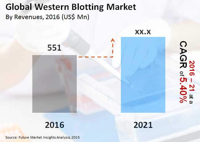 global western blotting market_Image for preview analysis
