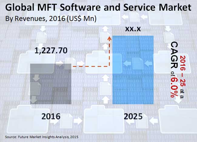 mft software and service market_image for preview analysis