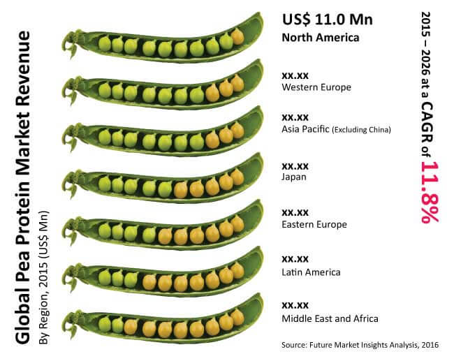 Pea Protein Market Segmentation