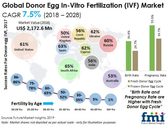 donor egg in vitro fertilization ivf market fa image