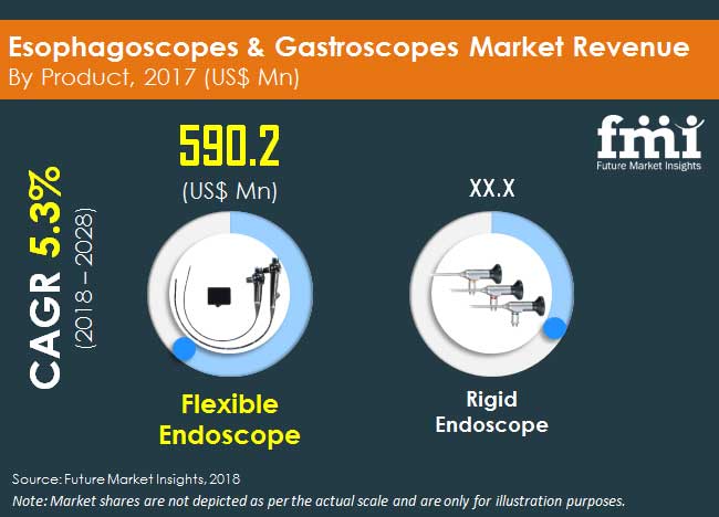 esophagoscopes gastroscopes market