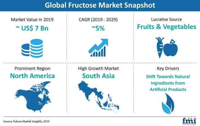 Fructose Market
