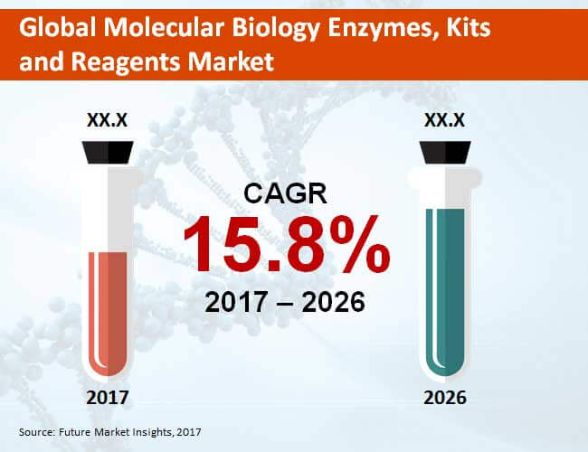 global molecular biology enzymes kits and reagents market