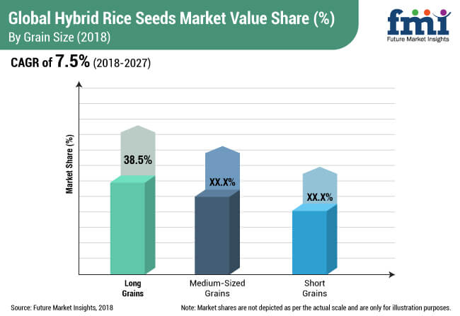 hybrid rice seeds market