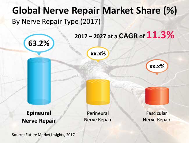Nerve Repair Market