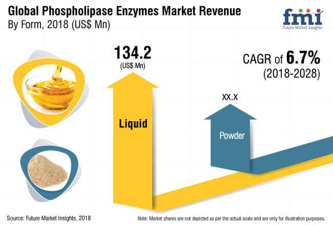 phospholipase enzyme market