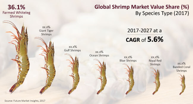 shrimp market global industry analysis size and forecast 2017 to shrimp size