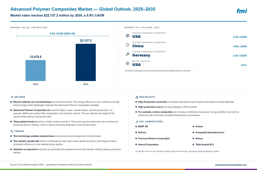 Advanced Polymer Composites Market