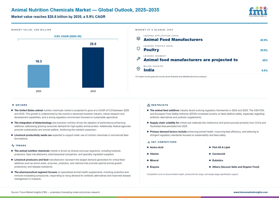 Animal Nutrition Chemicals Market