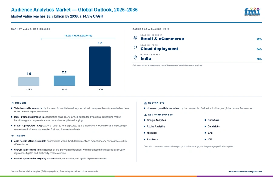 Audience Analytics Market Audience Analytics Market