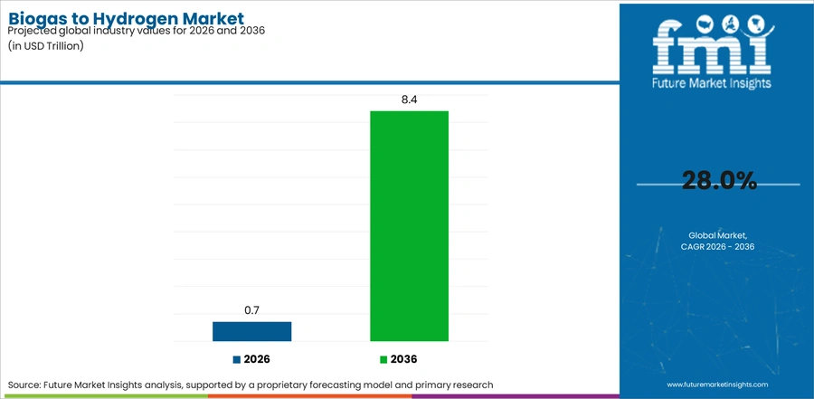 Biogas To Hydrogen Market Industry Value Analysis