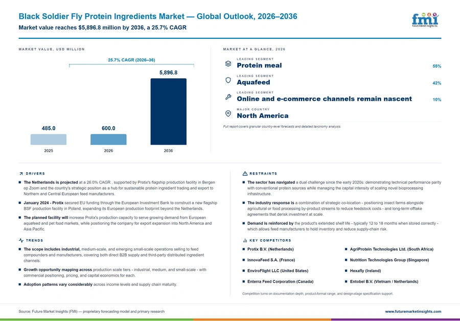 Black Soldier Fly Protein Ingredients Market Black Soldier Fly Protein Ingredients Market