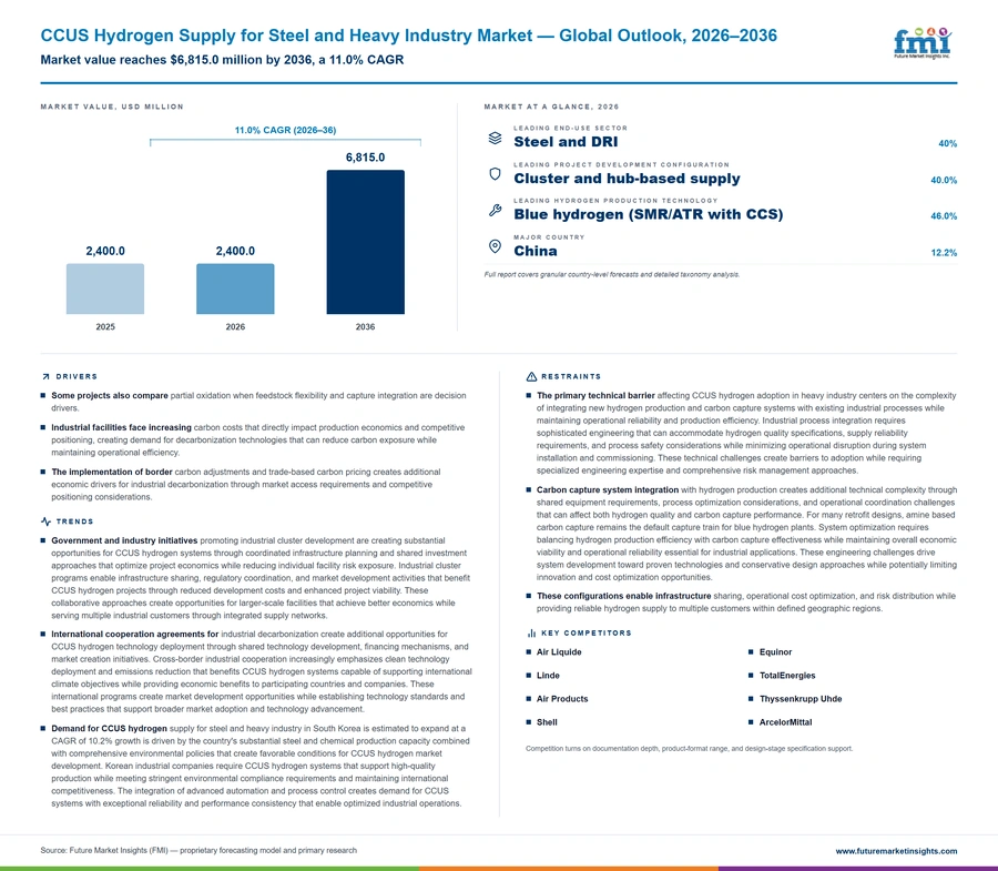 Ccus Hydrogen Supply For Steel And Heavy Industry Market