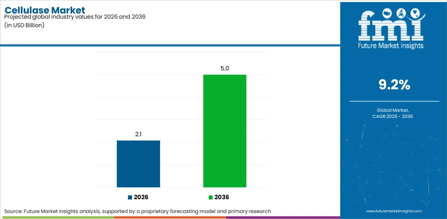 Cellulase Market Industry Value Analysis