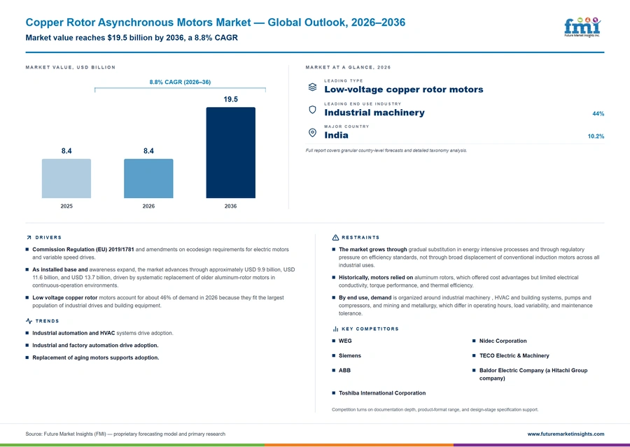 Copper Rotor Asynchronous Motors Market