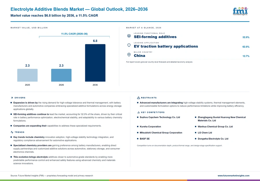 Electrolyte Additive Blends Market Electrolyte Additive Blends Market