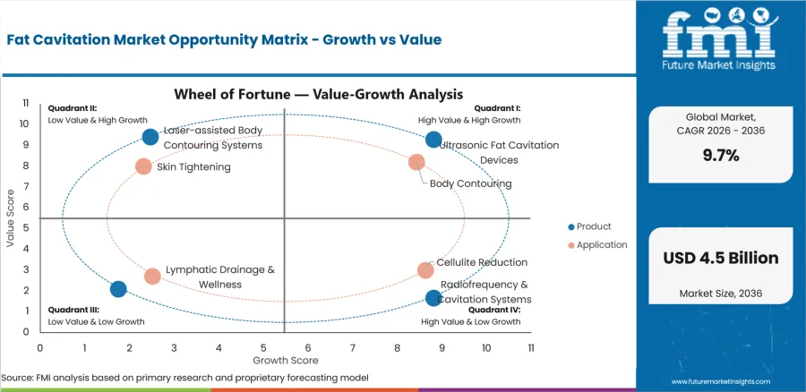 Fat Cavitation Market Opportunity Matrix Growth Vs Value