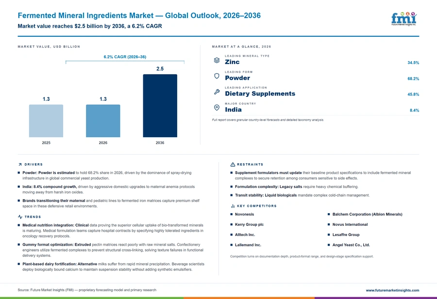 Fermented Mineral Ingredients Market Fermented Mineral Ingredients Market