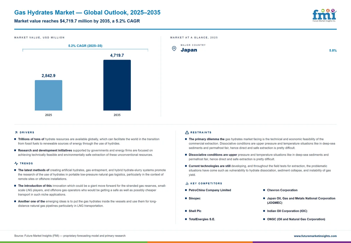 Gas Hydrates Market Gas Hydrates Market