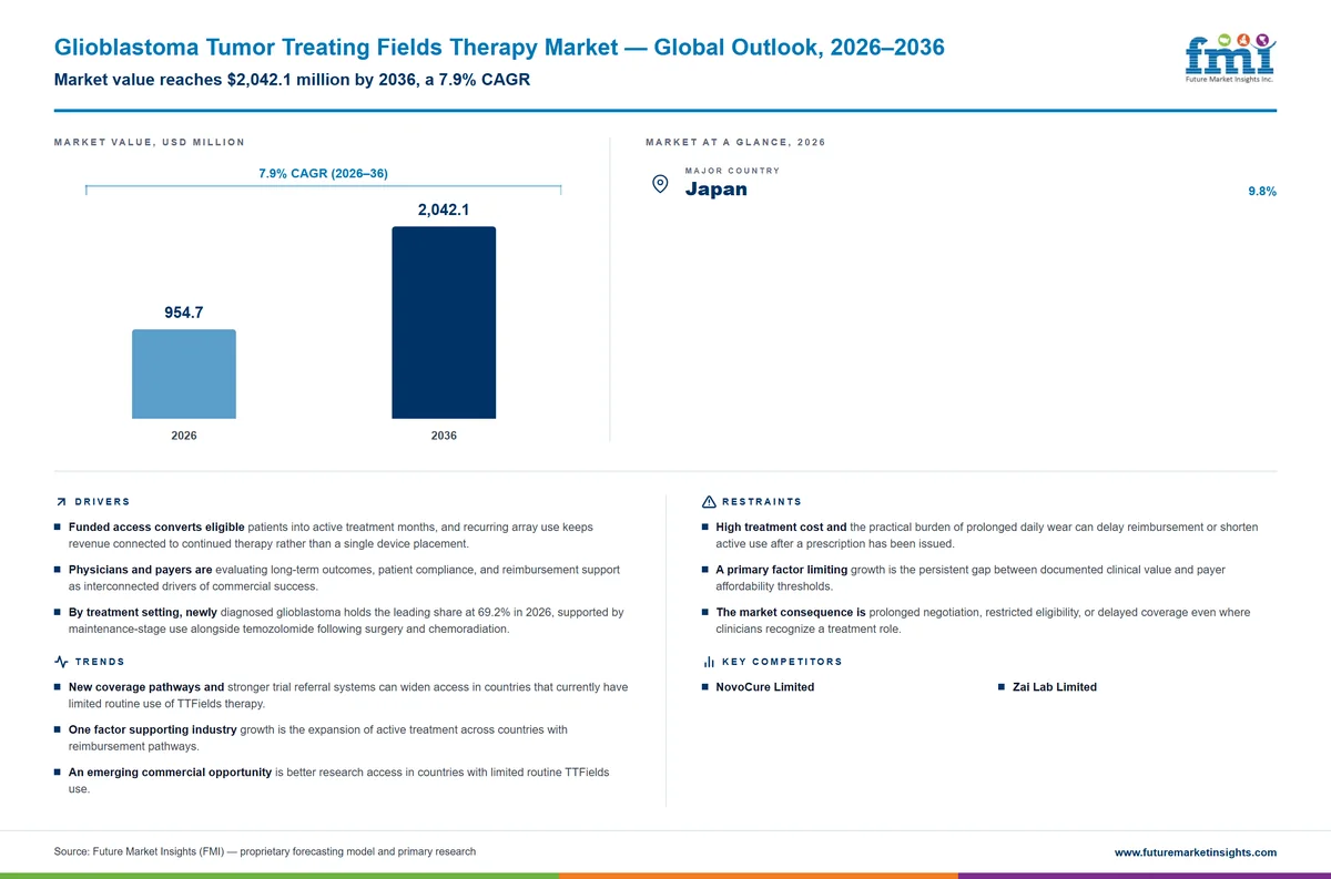 Glioblastoma Tumor Treating Fields Therapy Market Glioblastoma Tumor Treating Fields Therapy Market