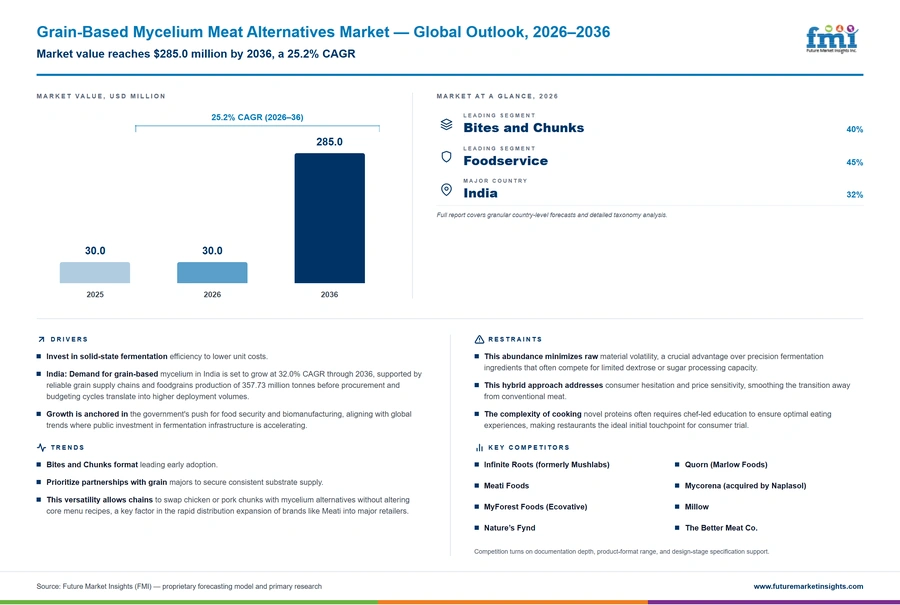 Grain Based Mycelium Meat Alternatives Market Grain Based Mycelium Meat Alternatives Market