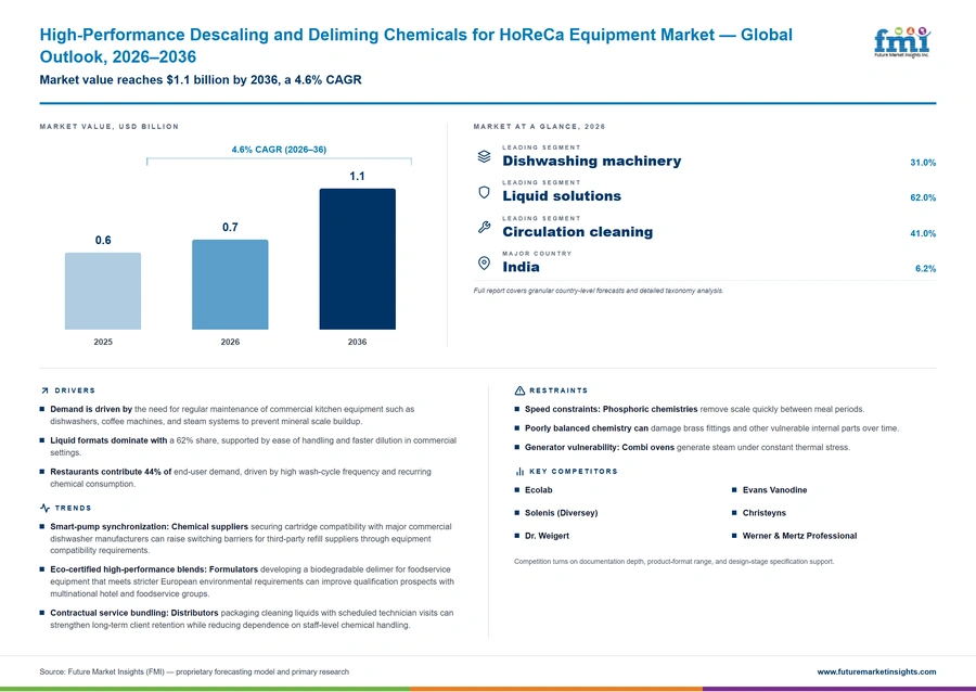 High Performance Descaling And Deliming Chemicals For Horeca Equipment Market