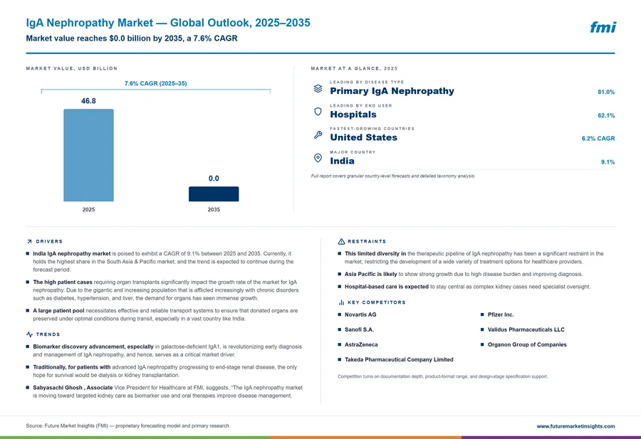 IgA Nephropathy Market