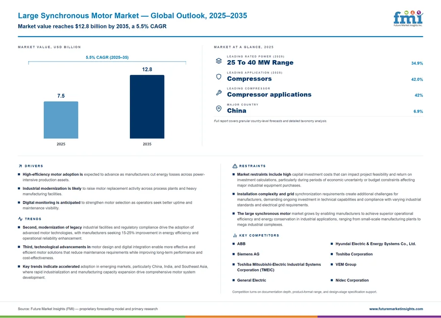 Large Synchronous Motor Market