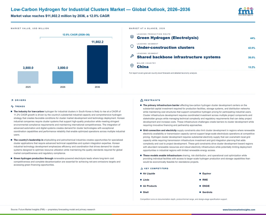 Low Carbon Hydrogen For Industrial Clusters Market Low Carbon Hydrogen For Industrial Clusters Market