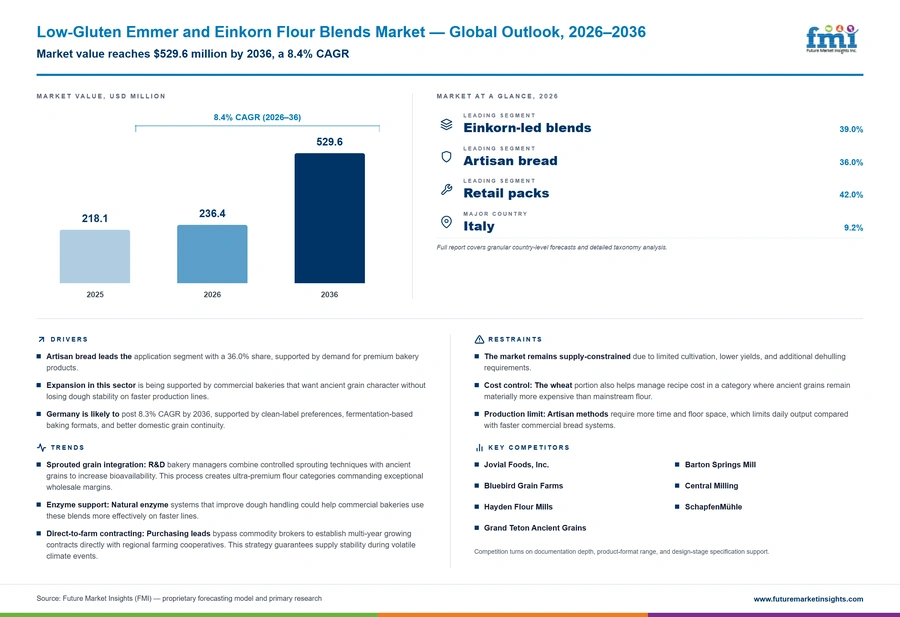 Low Gluten Emmer And Einkorn Flour Blends Market Low Gluten Emmer And Einkorn Flour Blends Market