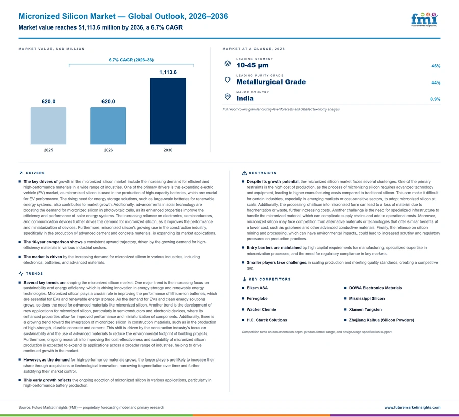 Micronized Silicon Market Micronized Silicon Market