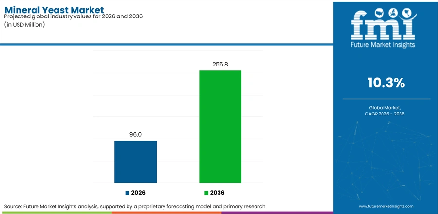 Mineral Yeast Market Industry Value Analysis