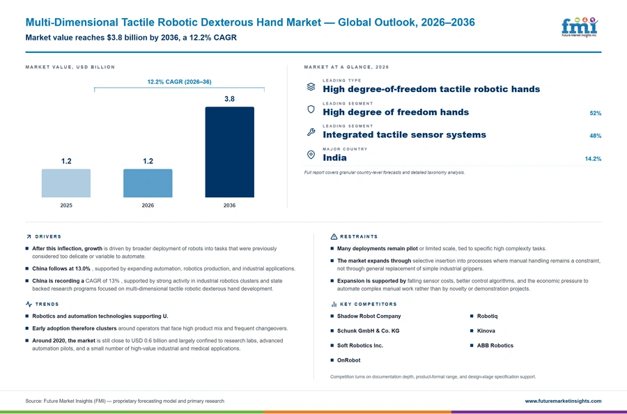 Multi Dimensional Tactile Robotic Dexterous Hand Market Multi Dimensional Tactile Robotic Dexterous Hand Market