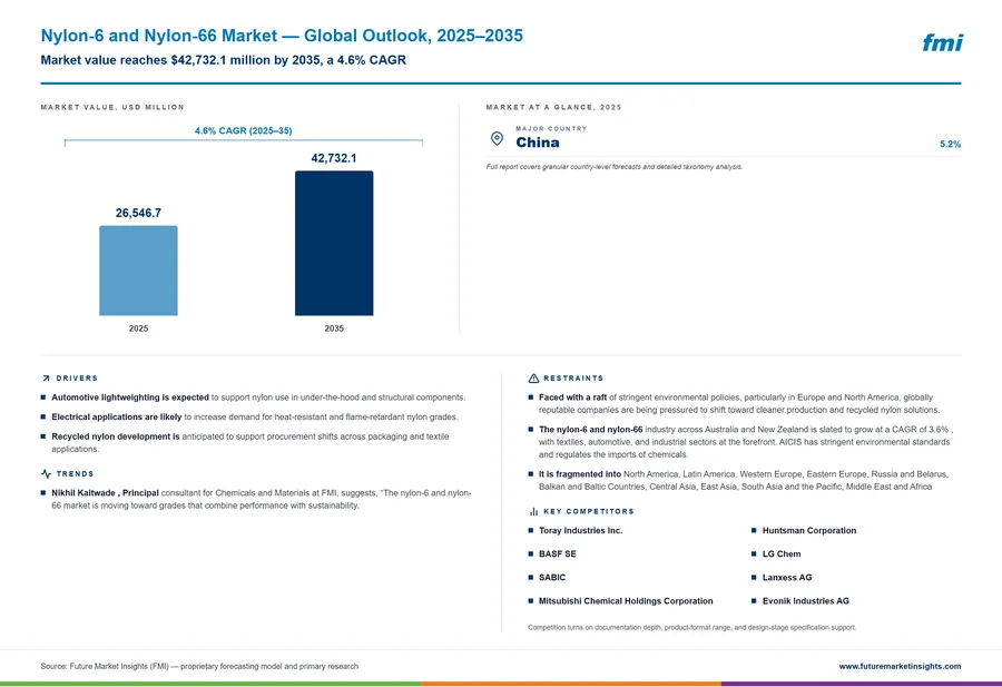 Nylon-6 and Nylon-66 Market