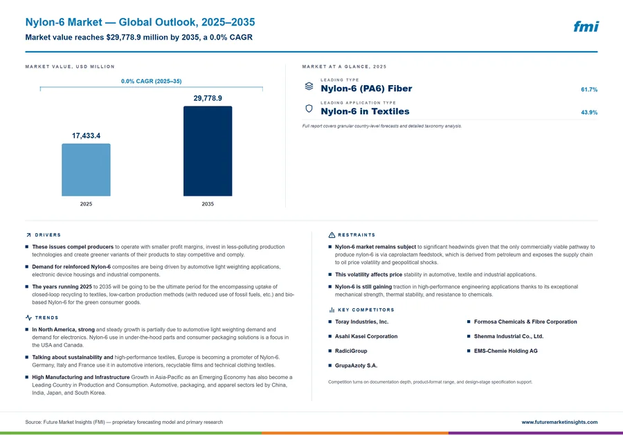 Nylon-6 Market