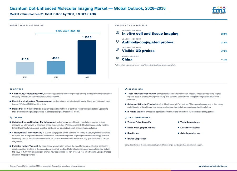 Quantum Dot Enhanced Molecular Imaging Market Quantum Dot Enhanced Molecular Imaging Market