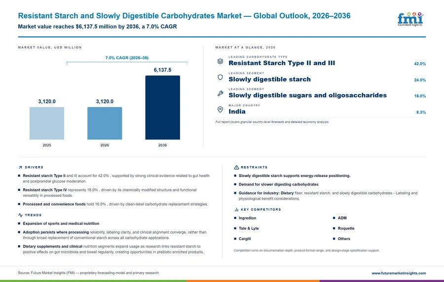 Resistant Starch And Slowly Digestible Carbohydrates Market Resistant Starch And Slowly Digestible Carbohydrates Market
