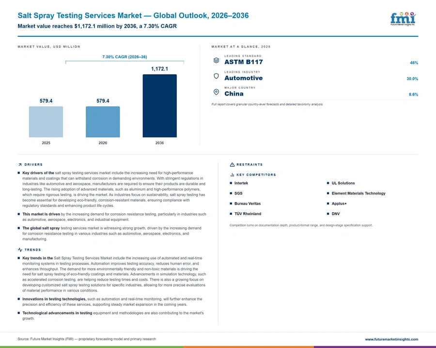 Salt Spray Testing Services Market Salt Spray Testing Services Market