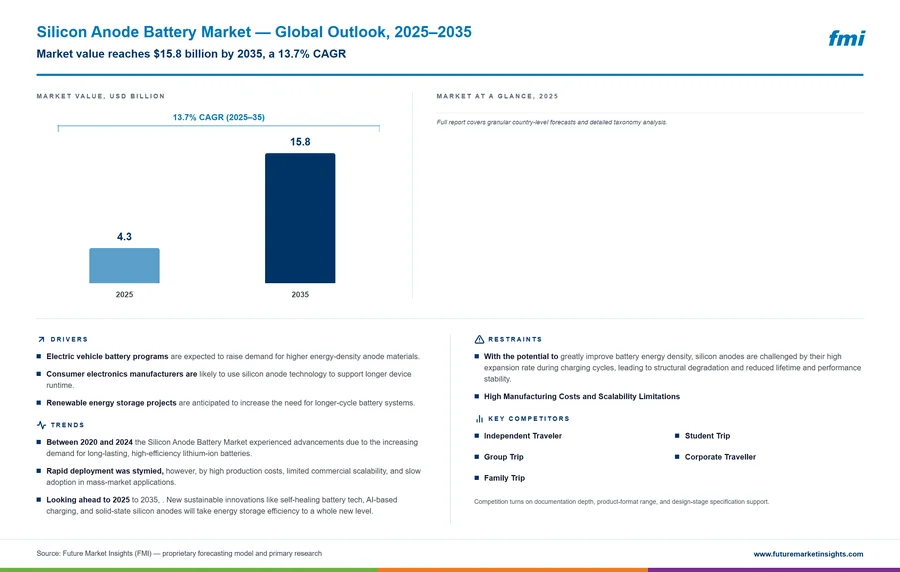 Silicon Anode Battery Market