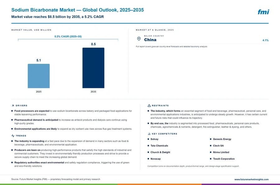 Sodium Bicarbonate Market