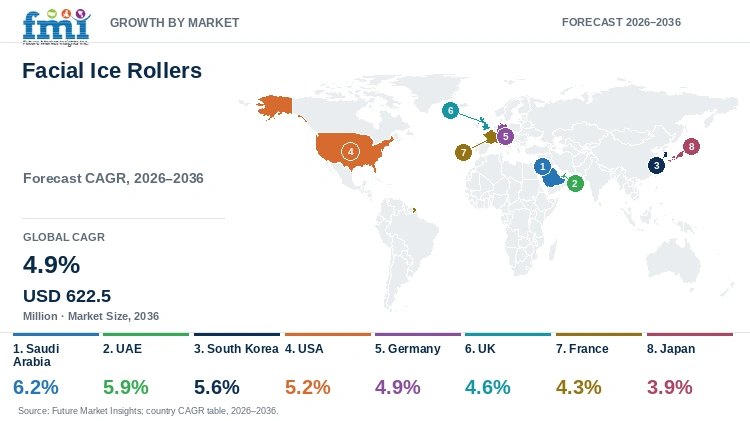 Facial Ice Rollers Market Growth by Market