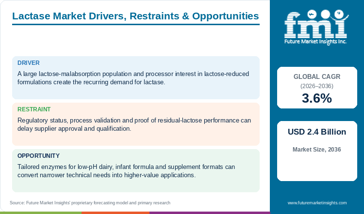 Lactase Market Drivers, Restraints & Opportunities Lactase Market Drivers, Restraints & Opportunities
