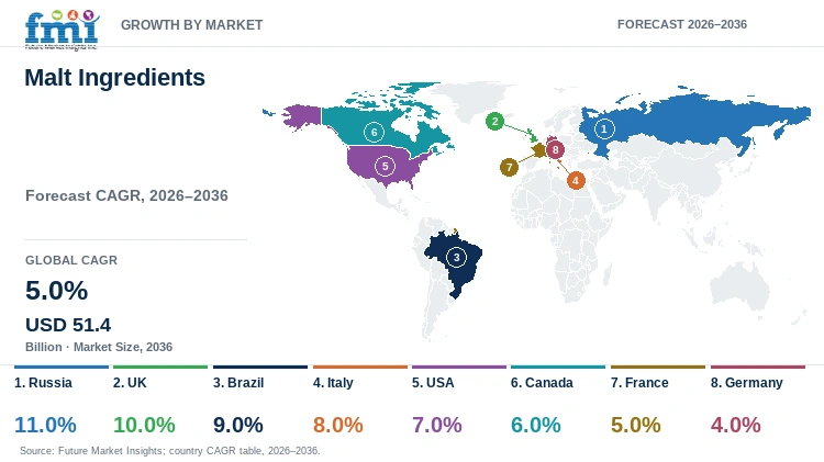Malt Ingredients Market Growth by Market Malt Ingredients Market Growth by Market