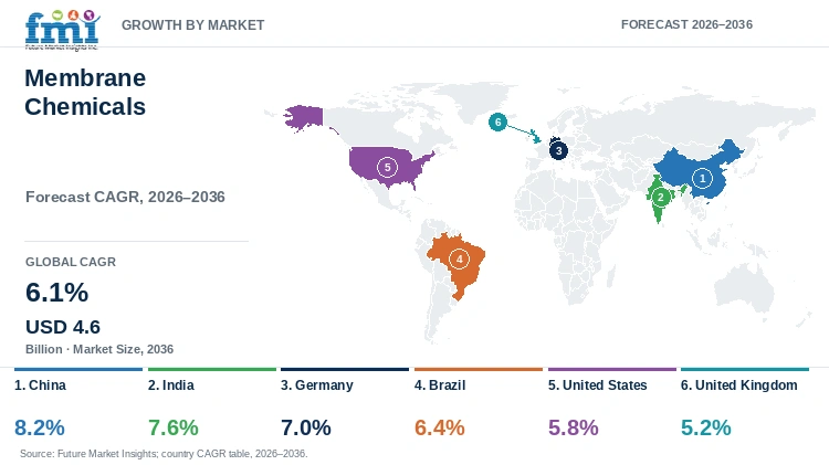 Membrane Chemicals Market Growth by Market Membrane Chemicals Market Growth by Market