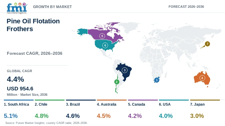 Pine Oil Flotation Frothers Market Growth by Market
