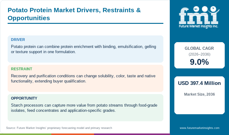 Potato Protein Market Drivers, Restraints & Opportunities