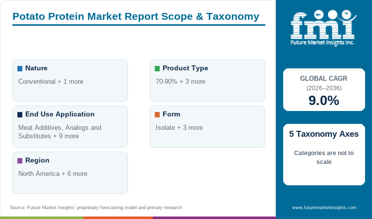 Potato Protein Market Report Scope & Taxonomy
