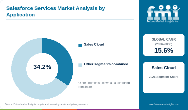 Salesforce Services Market Analysis by Application